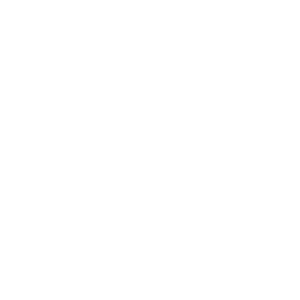 Dutch Quality - de Vesting